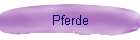 Pferde